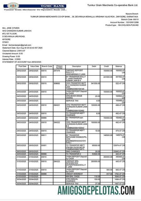 Modelo realista de extrato de conta bancária cooperativa de comerciantes de grãos da Índia Tumkur em Word e PDF